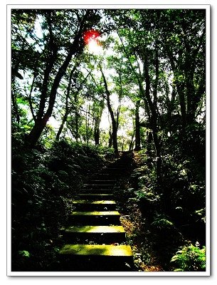 大板根森林溫泉渡假村28.jpg