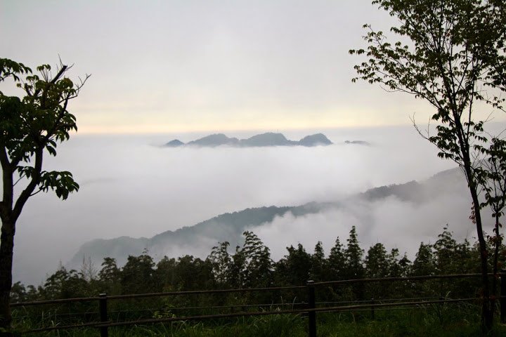IMG_6389.JPG
