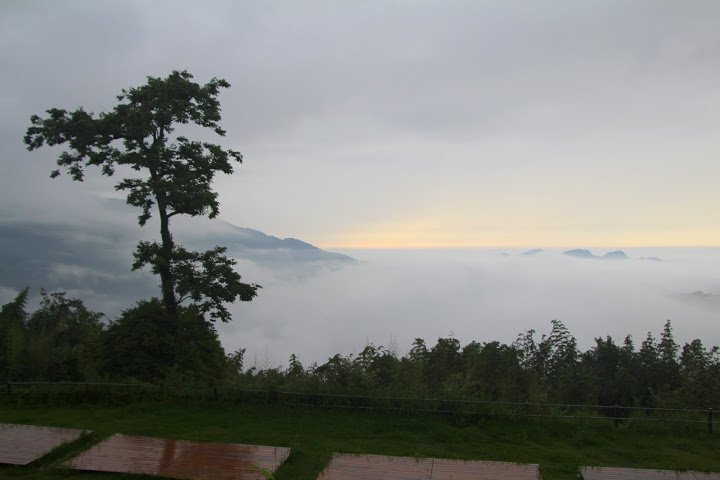 IMG_6410.JPG