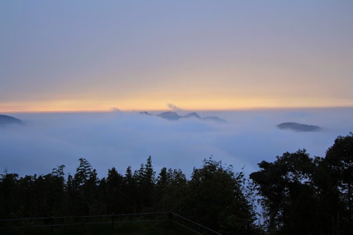IMG_6420.JPG
