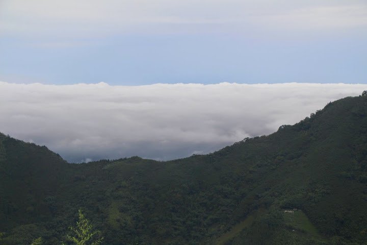 IMG_6433.JPG
