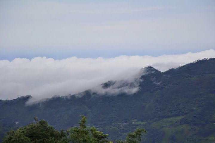 IMG_6447.JPG