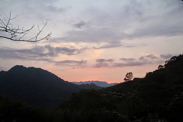 IMG_7834.JPG
