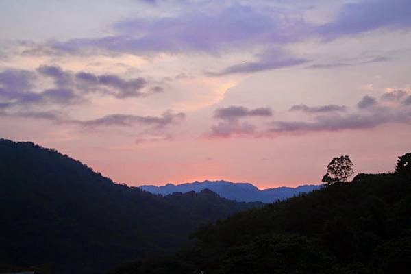 IMG_7835.JPG