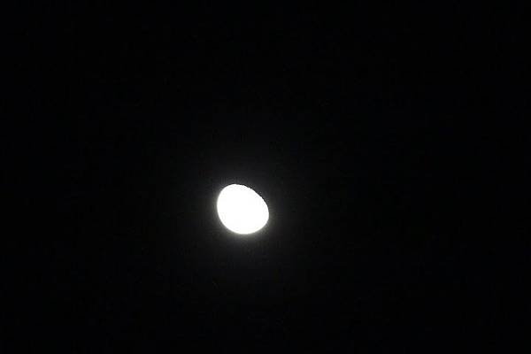 IMG_7850.JPG