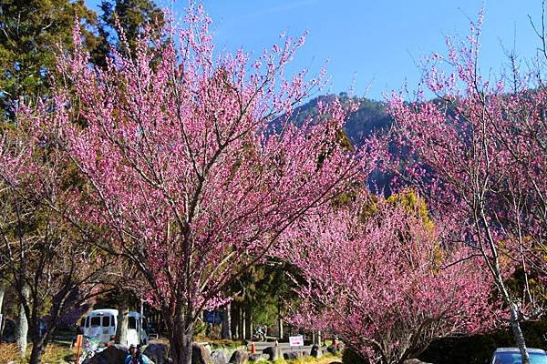 IMG_9416.JPG