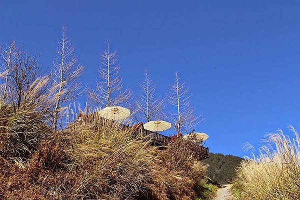 IMG_9483.JPG