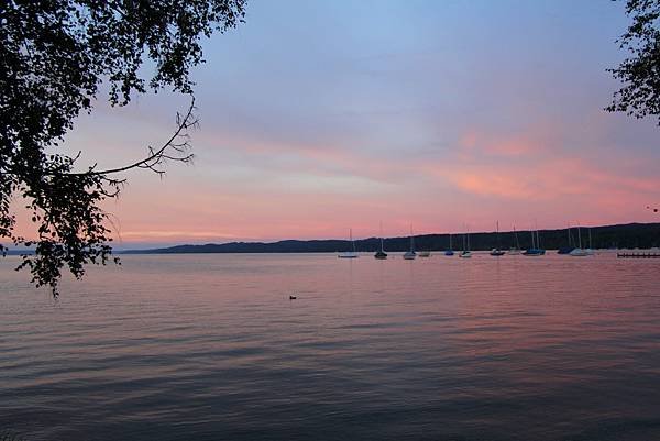IMG_4686.JPG