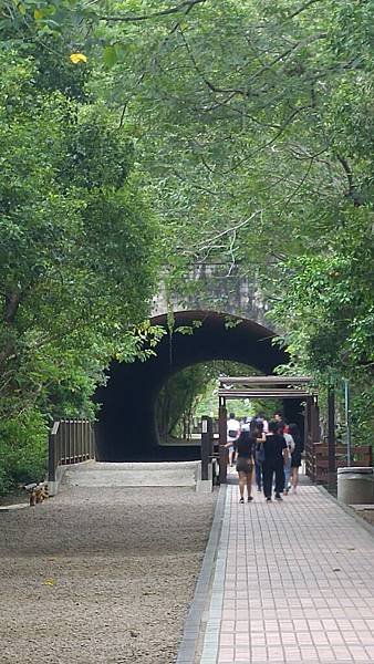 20190825_102704.jpg