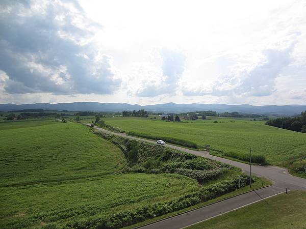 IMG_6196