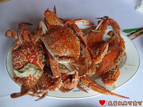 投影片34.JPG