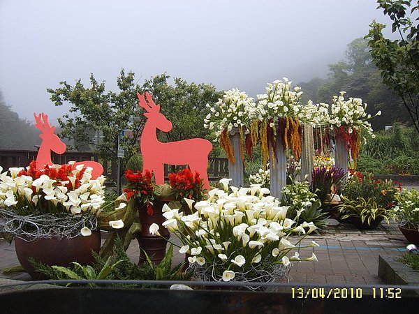 SUC58404.JPG