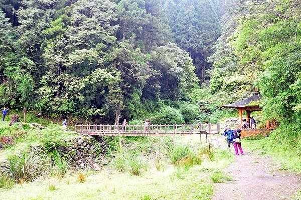 特富野20160515