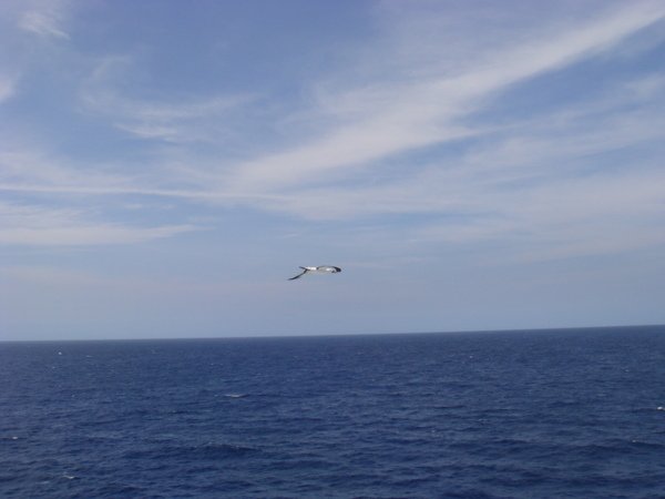 DSC08118.JPG