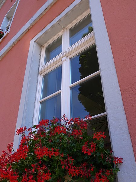 R0021417.JPG