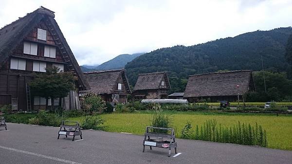 DSC_1610.JPG