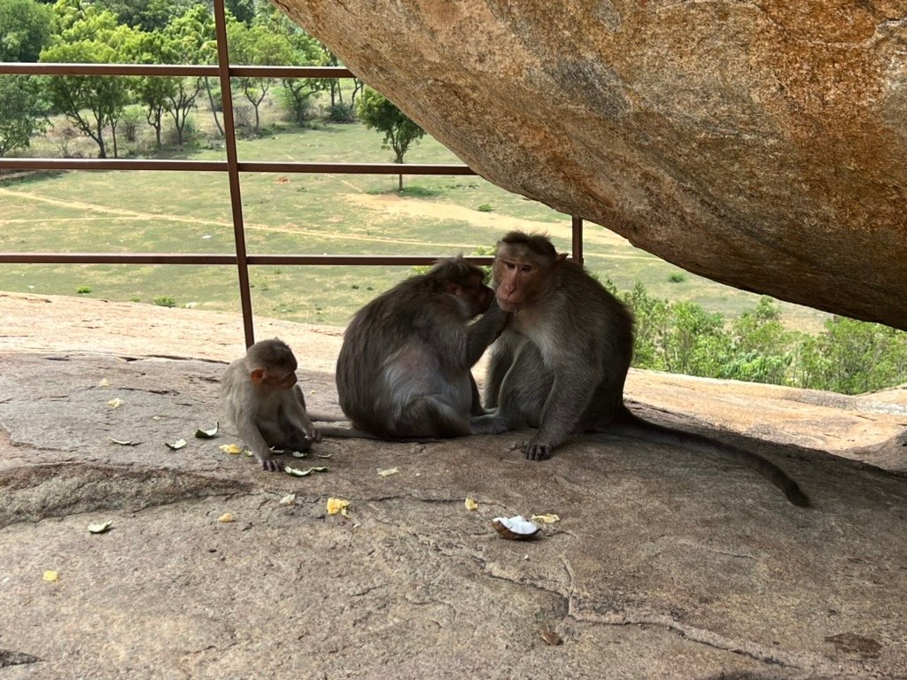 印度行（下：充滿神話的國度）