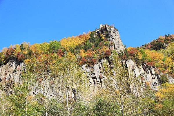 IMG_5597.JPG