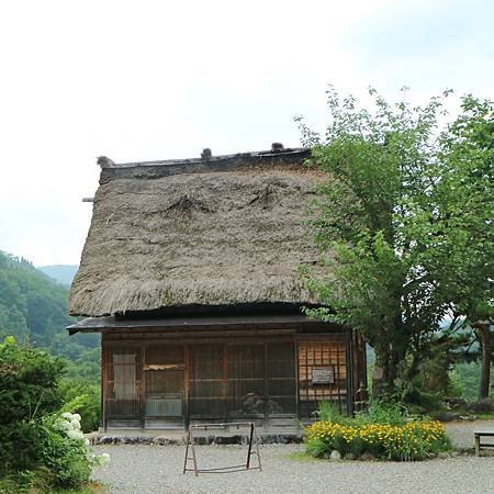 IMG_0658.JPG