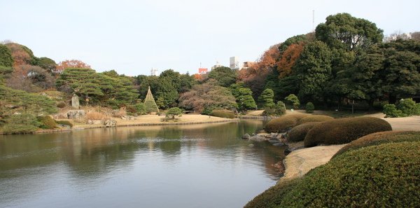 IMG_9944.jpg