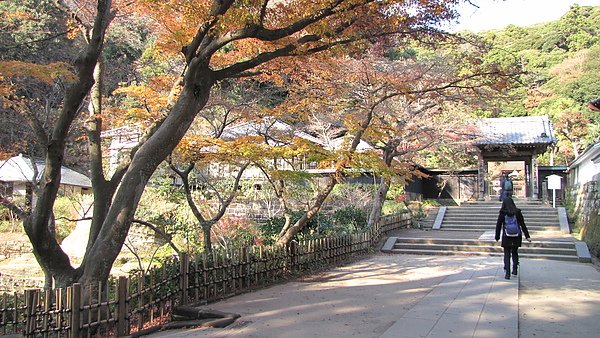 IMG_3998.JPG