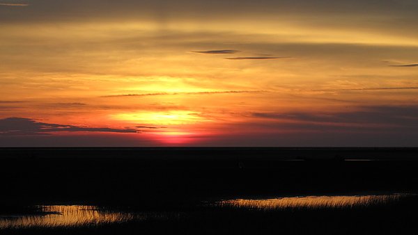 IMG_4097.JPG