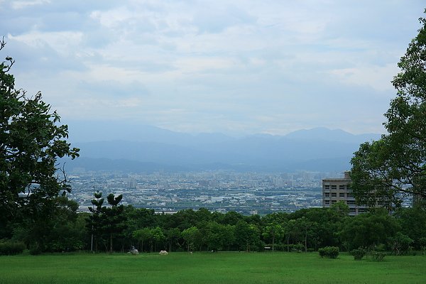 IMG_4781.jpg