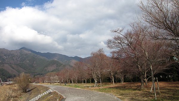IMG_4621.JPG