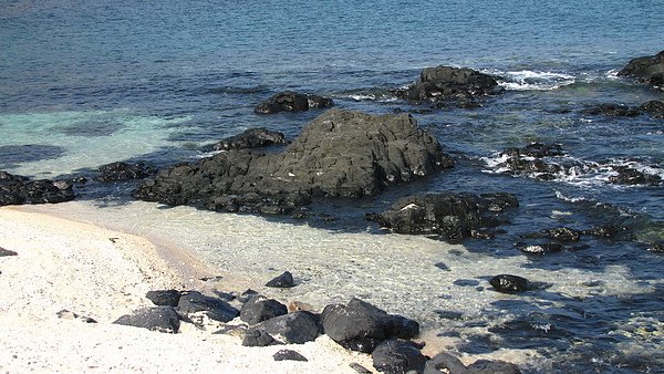 IMG_3057.JPG