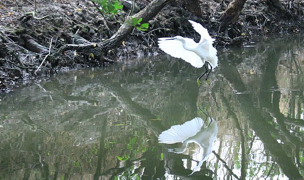 IMG_8849.jpg