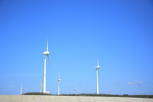 IMG_3746.jpg
