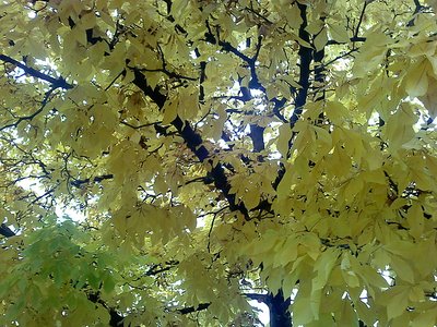 1022001041c.jpg