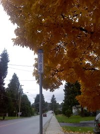 1022001040a.jpg