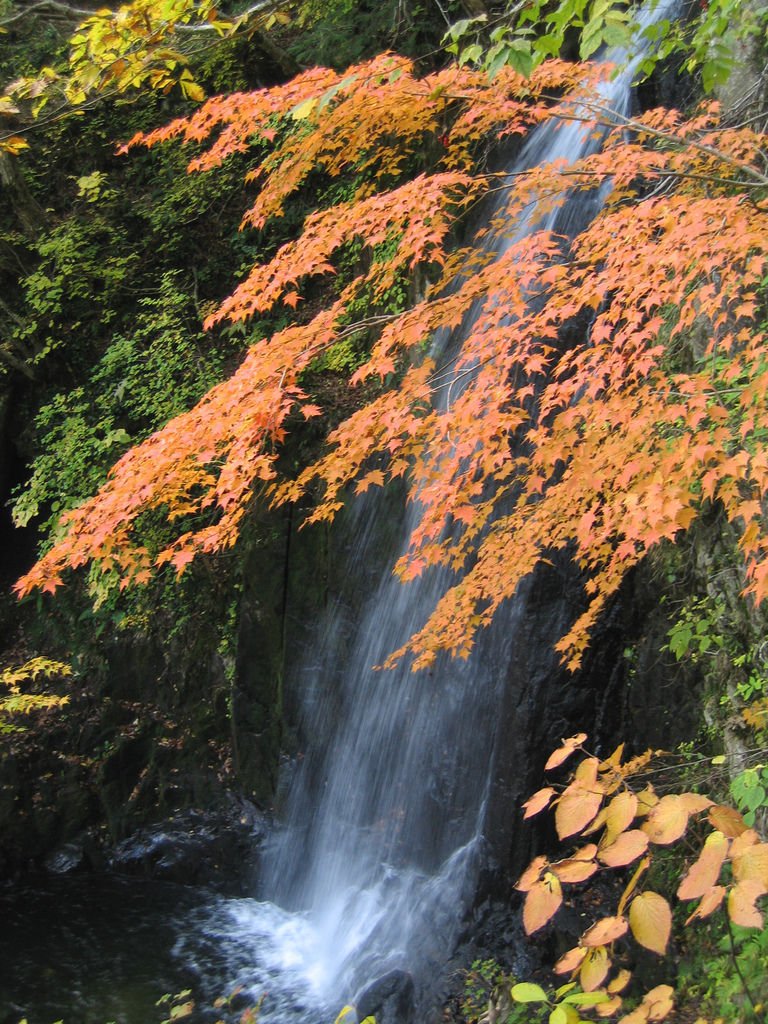 宇津江四十八滝 １.jpg