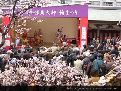 20130217_ume matsuri