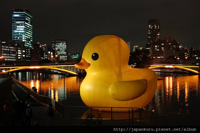 duck project_2010 osaka