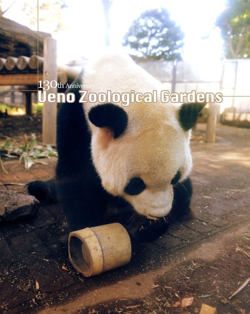 130th_Ueno_Zoological_Gardens01