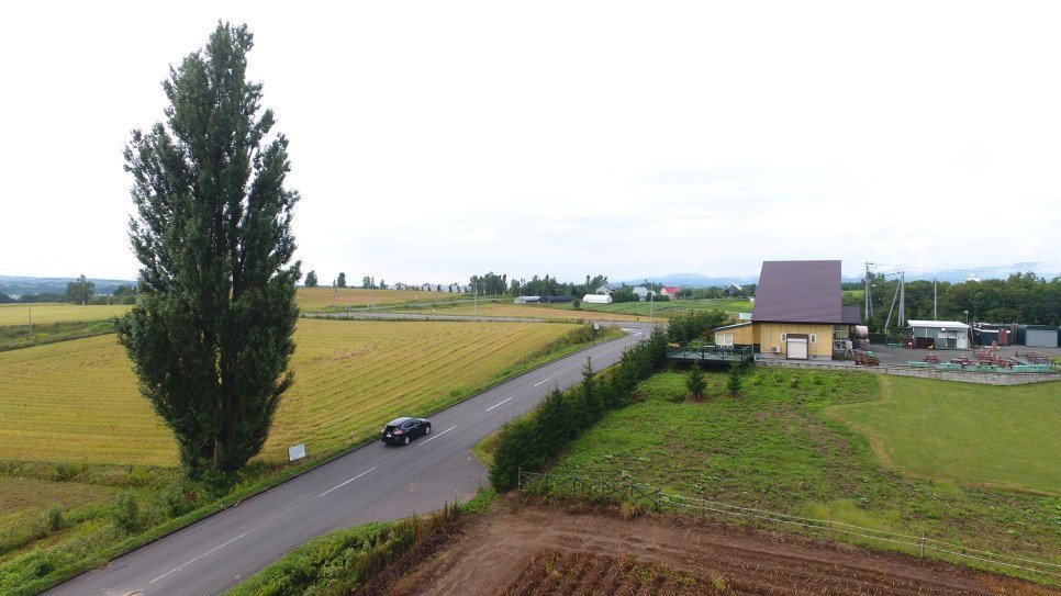 n13.jpg