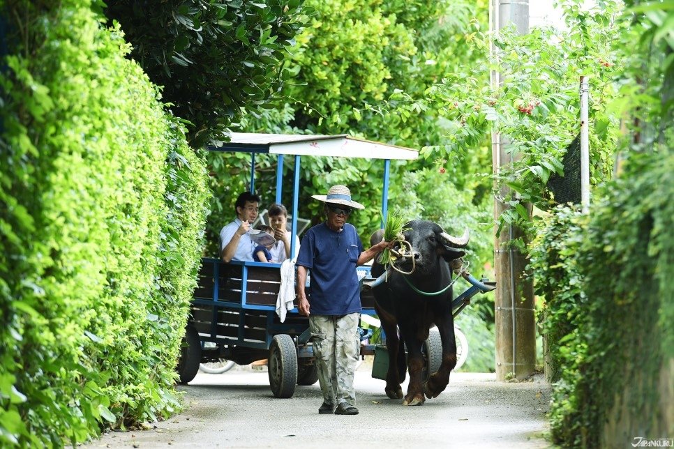 f05.jpg