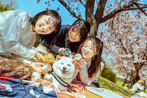 【日本超商甜點推薦】甜點控必吃TORAKU神戶布丁！