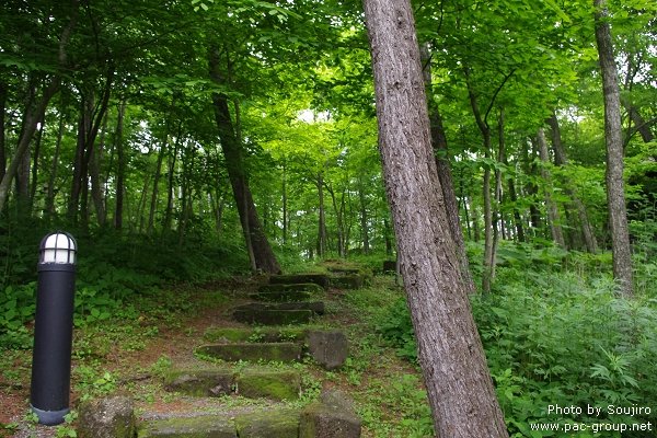 NIDOM森林度假村