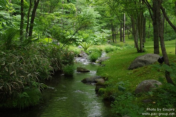 NIDOM森林度假村