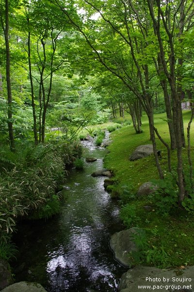 NIDOM森林度假村