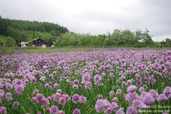 富田農場 (25).jpg