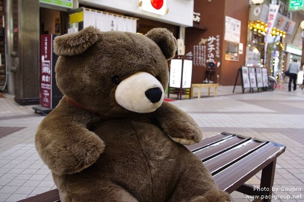 狸小路商店街 (19).jpg