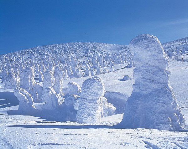 藏王樹冰 (2).jpg