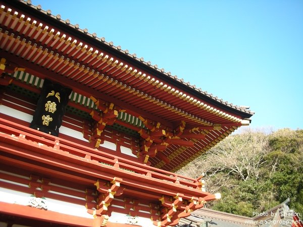 D2-2 鶴岡八幡宮 (2).jpg