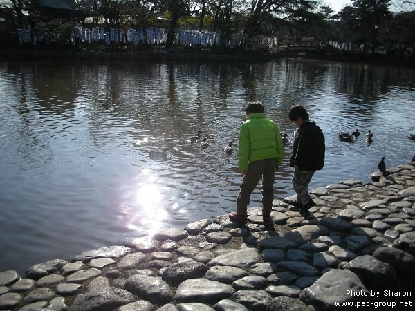 D2-2 鶴岡八幡宮 (3).jpg