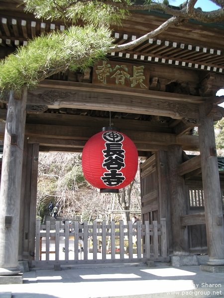 D2-4 長谷寺 (9).jpg