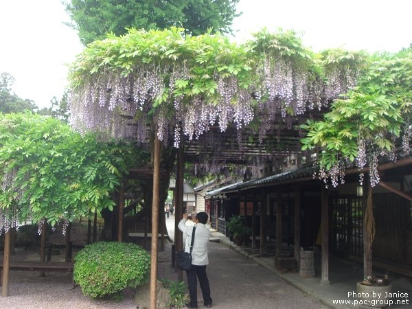 豪農之家‧北方文化博物館 (6).jpg